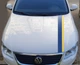 Полосы на авто ARB 3D TUNING STUDIO флаг Украины 1180х160х0.16мм - изображение 1