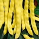 Семена Фасоль кустовая Марвел ди Венеция, 10 г (GL Seeds) - изображение 3