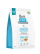 Корм для молодых собак больших пород Brit Care Dog Grain-free Junior Large Breed беззерновой с лососем, 3 кг 172200 - изображение 1