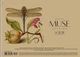 Альбом для малювання 3 шт. MUSE. Альбом Школярик 30 арк. А4 PB-SC-030-319 4823088235319 - изображение 2