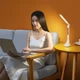 Настольная аккумуляторная светодиодная led лампа REMAX Time Pro Series Eye-Caring. White - изображение 9