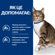 Корм Hill's PD Feline S/D сухой для лечения мочекаменной болезни у котов 1.5 кг - изображение 2