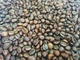 Ящик кави в зернах Garibaldi Espresso Bar 1 кг у ящику 50 шт - зображення 7