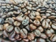 Ящик кави в зернах Garibaldi Espresso Bar 1 кг у ящику 50 шт - зображення 9