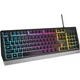 Клавіатура ігрова Genesis Rhod 300 RGB Backlight чорна (NKG-1823) - изображение 1