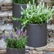 Горшок для цветов Keter Cylinder Large 39L антрацит (17197837) - изображение 5