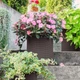 Горщик для квітів Keter Cylinder Planter S 7L коричневий (17197833) - зображення 4