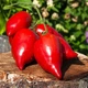Семена Томат Корейский длинноплодный, 0,2 г (GL Seeds) - изображение 2