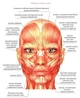 Тренажер Face Slimmer для улучшения формы лица и избавления от морщин «Резиновые губы» черный - изображение 5