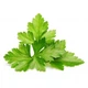 Змінний картридж Click and Grow Коріандр 8417 - изображение 2
