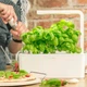 Стартовий набір Click and Grow бежевий 7212 SG3 - изображение 5