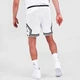 Шорты баскетбольные Jordan Sport Dri-FIT Men's Diamond Shorts размер L (DH9075-100) - изображение 3
