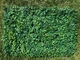 Фитомодуль для искусственного озеленения, искусственный фитомодуль 60х40см, FM-2 - изображение 1