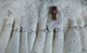 Льняная скатерть с ранером Selin Cagla Set 160×350+12 салфеток Кремовая - изображение 4