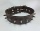 Шкіряний нашийник з невеликими шипами Lockdog S(16-29 см) 000240026 - зображення 1