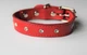 Ошейник со стразами Lockdog M(30-44 см) (zoo0005235) - изображение 1
