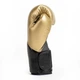 Боксерские перчатки Everlast Elite Training Gloves (870290-70-15) Gold 10 унций - изображение 6