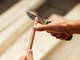 Nóż o dużej wytrzymałości Fiskars z ostrzałką (1023619/156018) - obraz 7