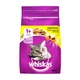 Сухой корм для кошек Whiskas с курицей 300 г (5998749144039/5900951014055) - изображение 1