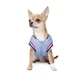 Бомбер для животных Pet Fashion Spike XS (4823082430208) - изображение 3