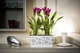 Вазон Idel Flowerbox 40 см Коричневый/белый (730027) - изображение 10