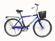 Велосипед X-TREME RIDER 28" синій 125013 - зображення 1