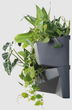 Садові вертикальні модульні горщики Prosperplast Cascade Garden Wall IO3W800-S433 антрацит - зображення 3
