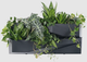 Садові вертикальні модульні горщики Prosperplast Cascade Garden Wall IO3W800-S433 антрацит - зображення 4