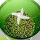 Проращиватель для зерна и семян автоматический Lina Bean Grower двух ярусный с автоорошением и таймером - изображение 8