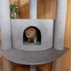 Комлекс когтеточка угловая для кота кошек 115х55х55см серая - изображение 2