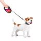Повідець-рулетка для собак WAUDOG R-leash, малюнок "Конотопські магічні війська", розмір L, до 50 кг, 5 м (8126-0232-01) - зображення 6