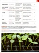 Инсектицид Актара 1,4г, Syngenta - изображение 4