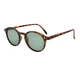 Солнцезащитные очки Sanico MQR 0125 PALMA turtle - lenti green lenti polarizzate cat.2 - изображение 1