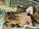 Настільна гра Geekach Games Кемет: Кров і пісок (Kemet: Blood and Sand) (укр./рос.) - зображення 5