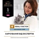 Упаковка влажного корма для взрослых кошек Purina Pro Plan Veterinary Diets NF Renal Function при патологии почек 10 x 85 г - изображение 7