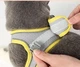 Шлея для собак и котов Hvostiki Comfort со светоотбивающими элементами L желтый (53498841) - изображение 4