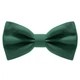 Бабочка Bow Tie House большая атласная нефритового цвета 09563L - изображение 1