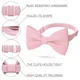 Бабочка Bow Tie House Blush Pink льняная - большая 00136L - изображение 2