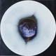Виниловая пластинка Testament – Titans Of Creation 2 LP Set 2020 (27361 48981, Ltd) Nuclear Blast/EU Mint (art.238068) - изображение 8