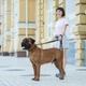 Поводок "EVOLUTOR" (ширина 25 мм, длина 210 см), черный - изображение 12