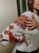 Гуцульская женская вышиванка белая на шифоне с коротким рукавом "Златия" 11726-52 (XL) - изображение 4