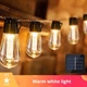 Світлодіодна гірлянда Smart Bulbs Outhome, водозахищена IP65, 10 кульок у формі груші, 4,5 м., Білий теплий (S1BLBOTHM4) - зображення 1