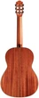 Класична гітара CORDOBA C9 CD - зображення 2