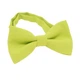 Метелик Bow Tie House дитячий яблучно-зелений однотонний з габардину 09097B - зображення 2