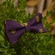 Метелик Bow Tie House Basic баклажановий клубний дорослий 06281 - зображення 2