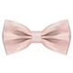 Бабочка Bow Tie House большая атласная Champagne 10482L - изображение 1