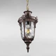 Уличный подвесной светильник Light House DL-18818/1P коричневый - изображение 2