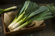 Семена Лук порей, 1 г (GL Seeds) - изображение 2