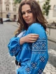 Шифонова жіноча вишиванка блакитна блуза з чорною вишивкою "Амелі" 12072-58 (3XL) - зображення 2
