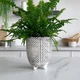 Горшок-кашпо для цветов МВМ DH-FLOWERS-28 S BLACK - изображение 5